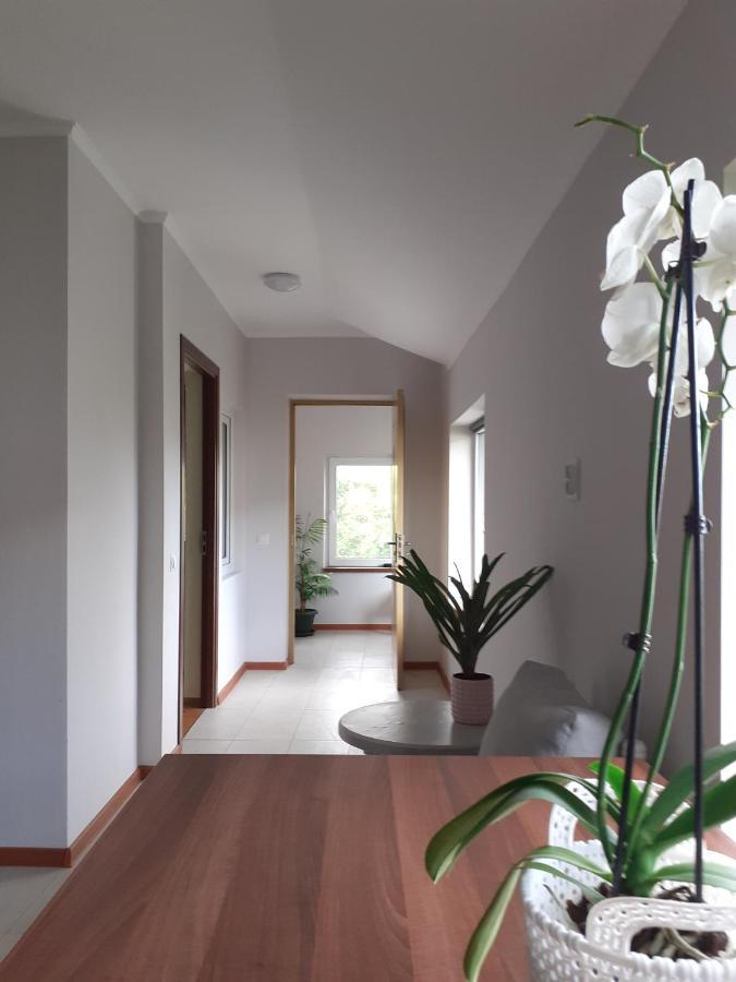 Muzicii 11 - Cozy Seaside Apartments Нэводари Экстерьер фото