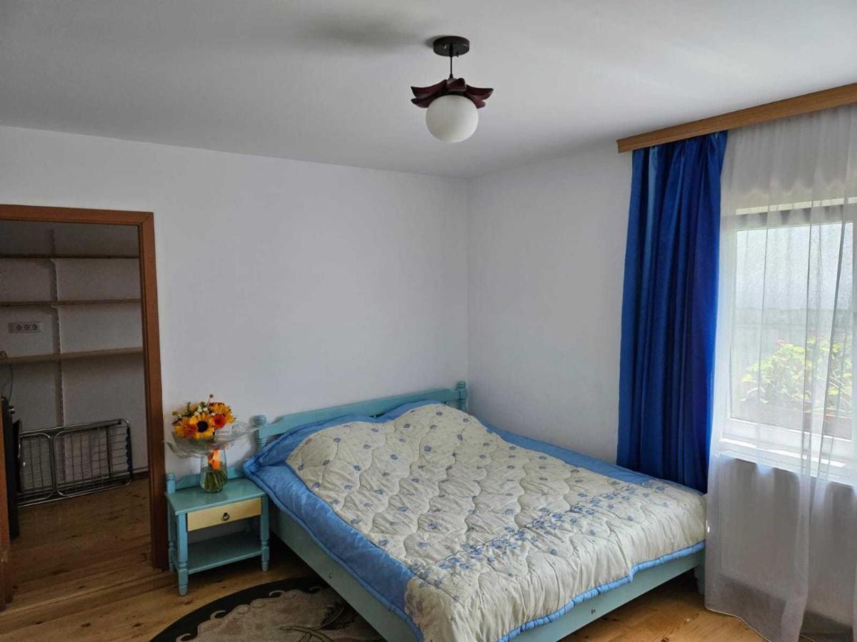 Muzicii 11 - Cozy Seaside Apartments Нэводари Экстерьер фото